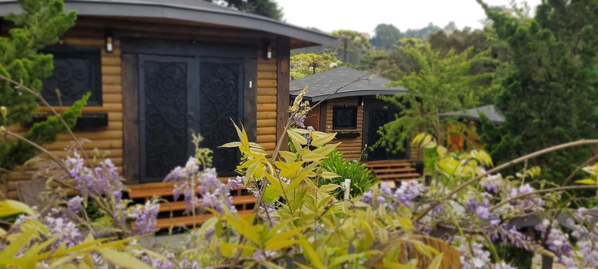 Premium Bungalow with Spa Bath