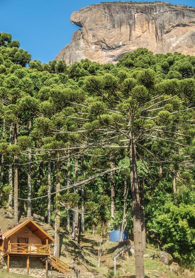 Suite com Vista da Montanha