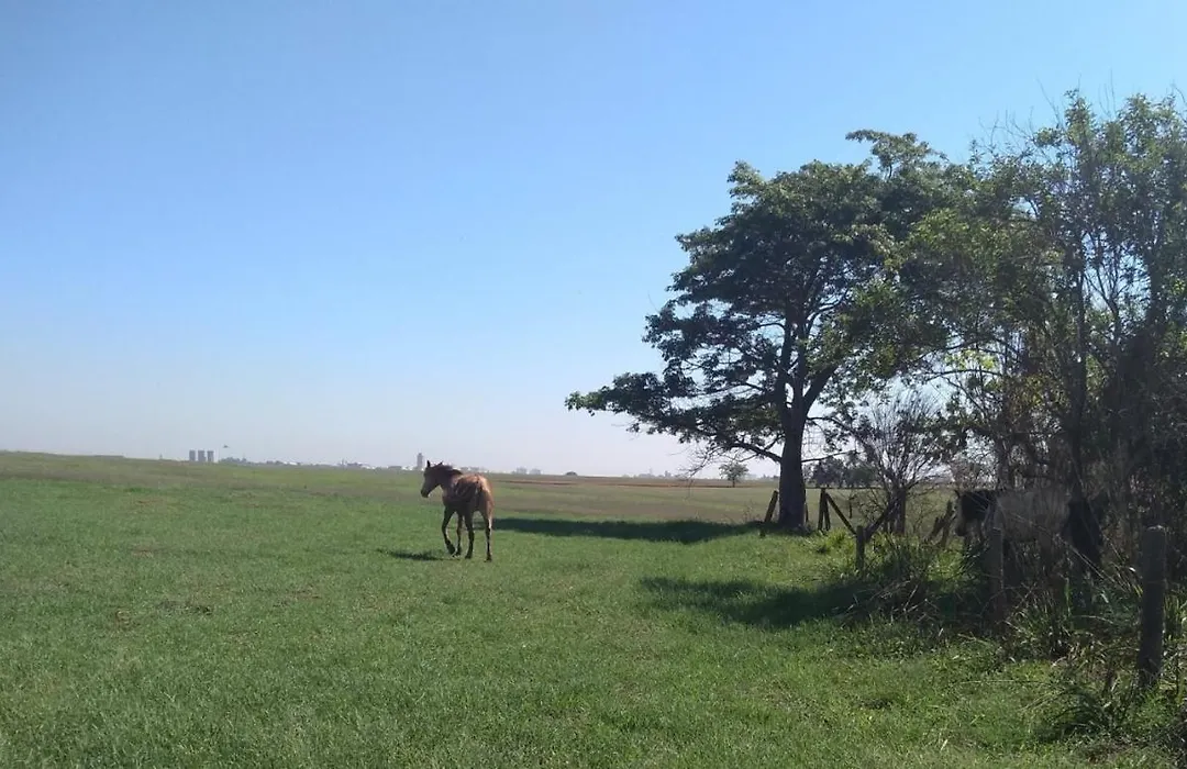 Estancia Montagner-1