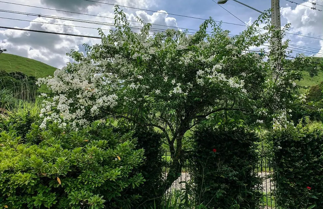 Pousada Das Pedras-1