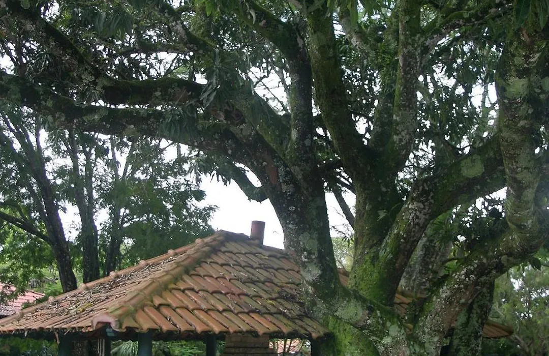 Villa Buonabitacolo-1