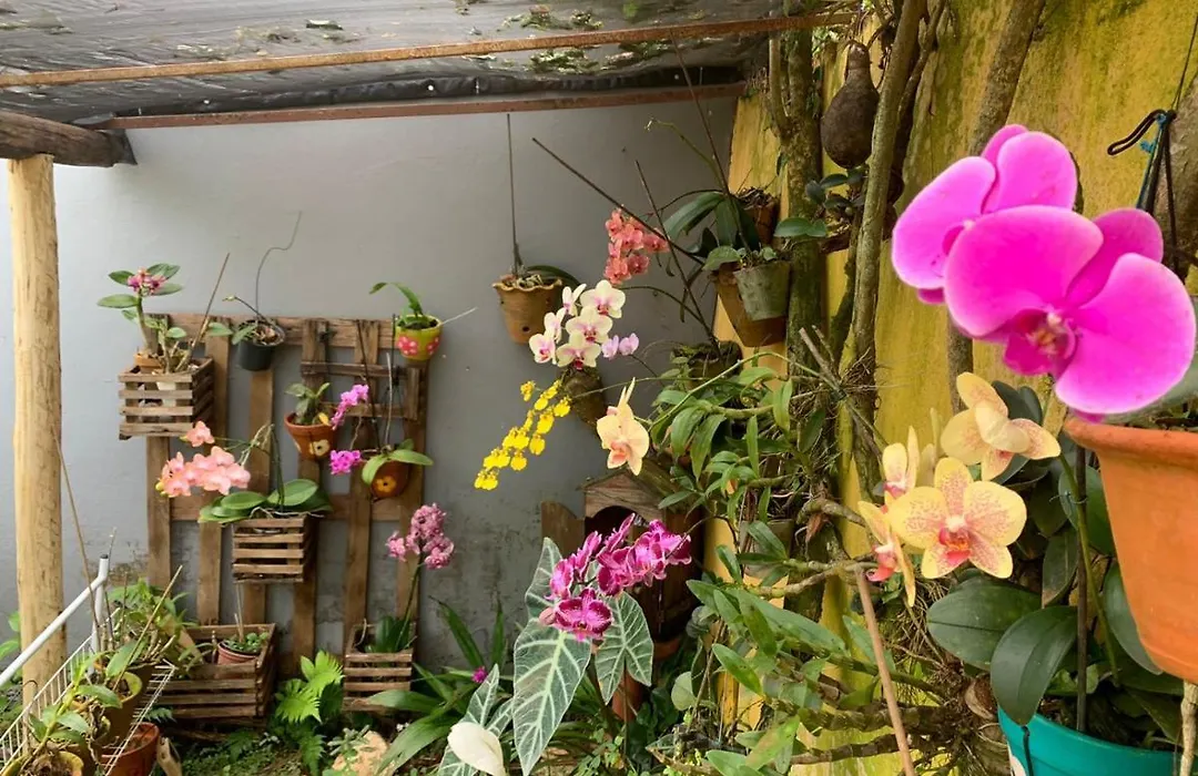 Casa das Flores-1