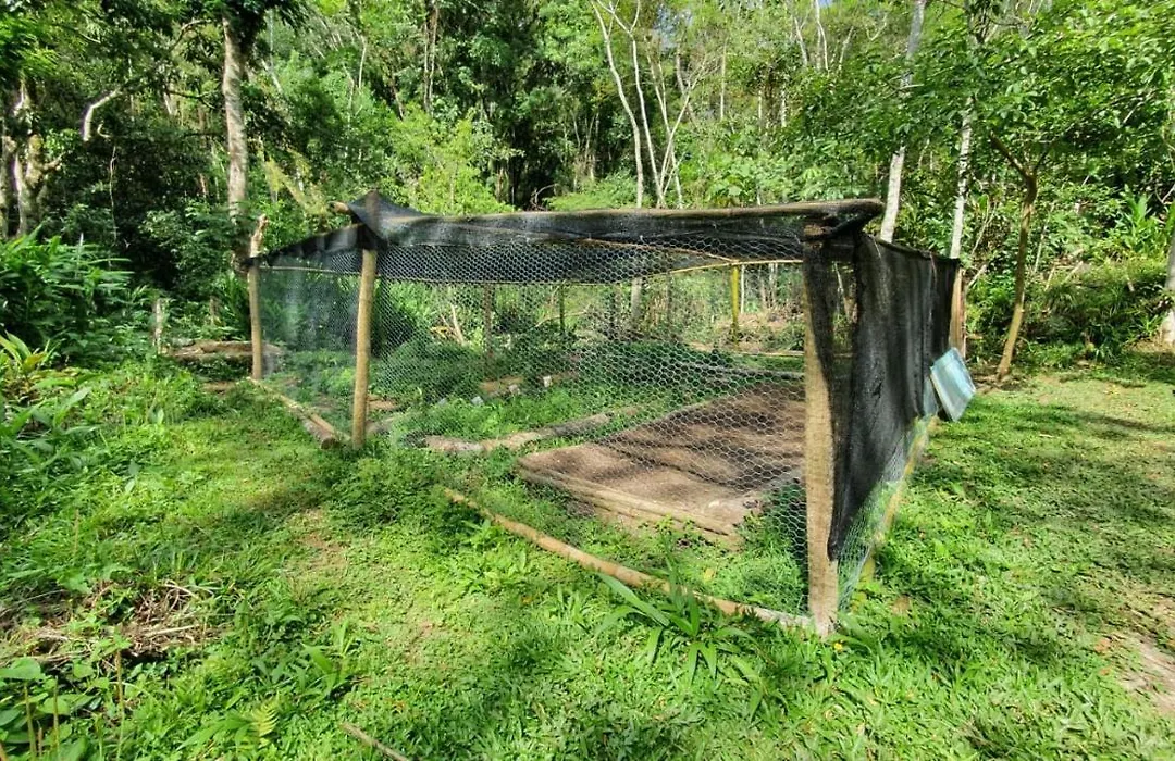 Sitio Anju-1