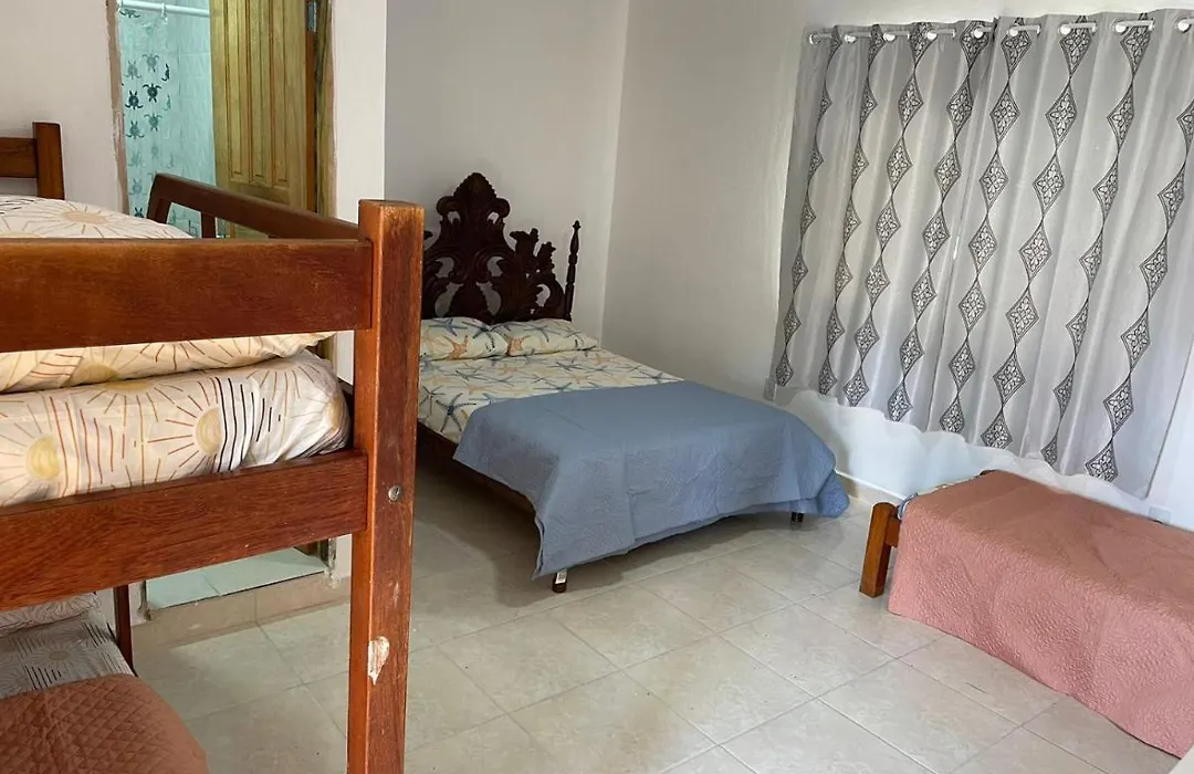 Casa Amarela Hostel-1
