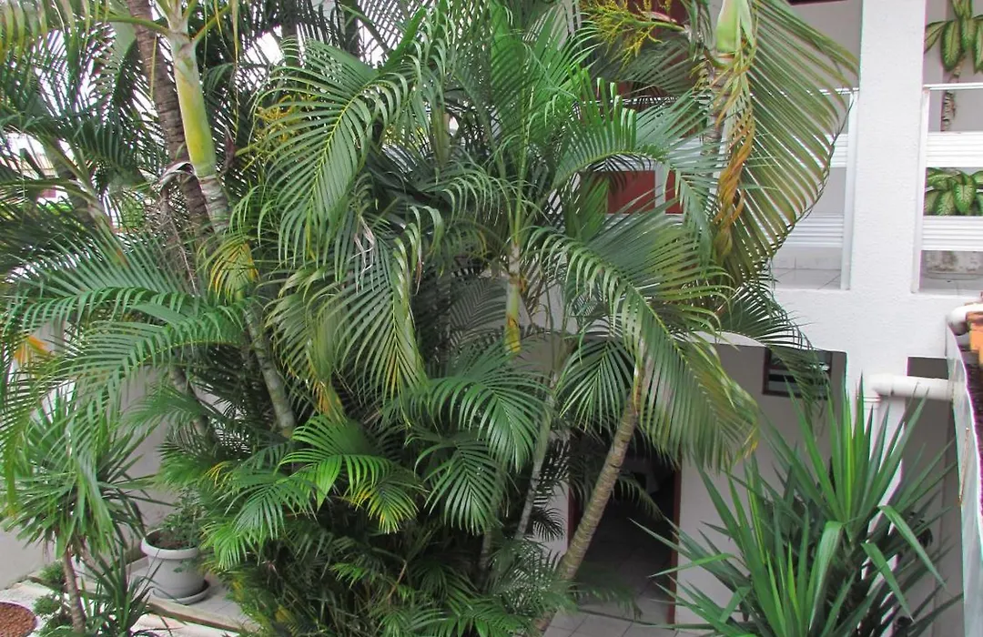 Pousada Nossa Casa-1