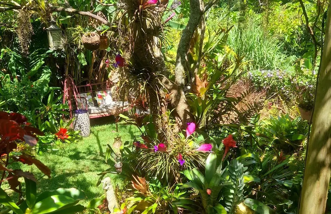 Casa De Vidro-1