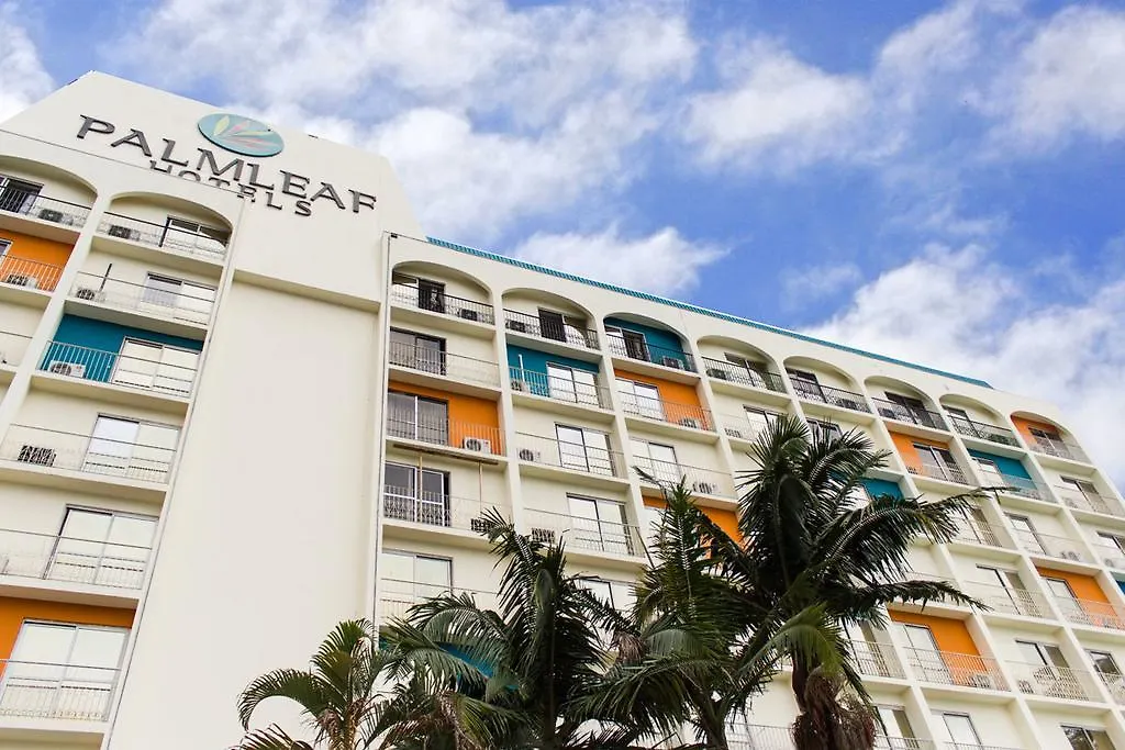 Palmleaf Grand Premium-1