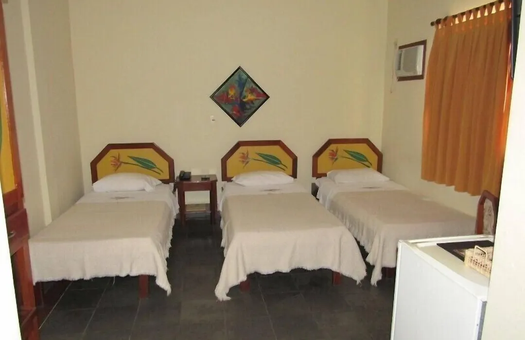 Alfenas Palace Hotel-1