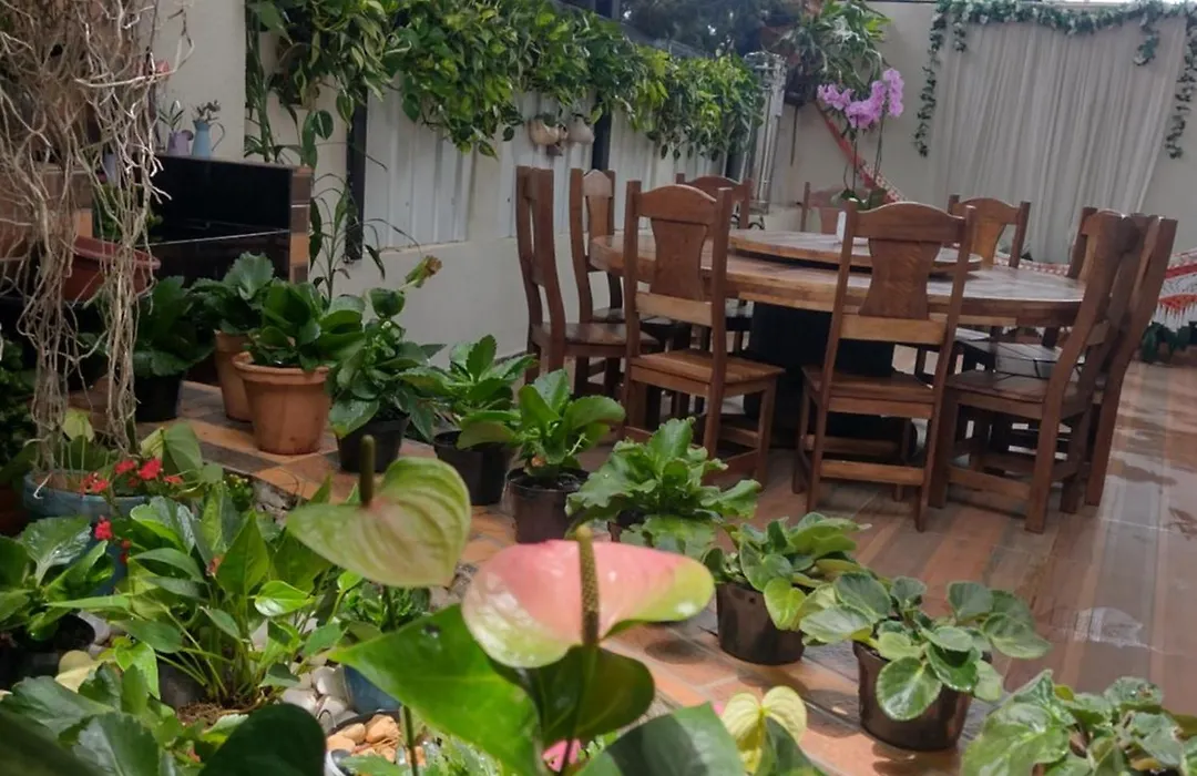 Pousada Rosa De Saron-1