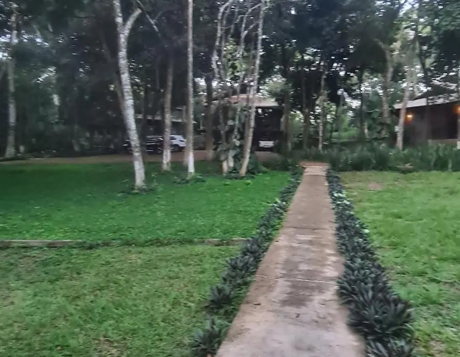 Bosque São Francisco-1