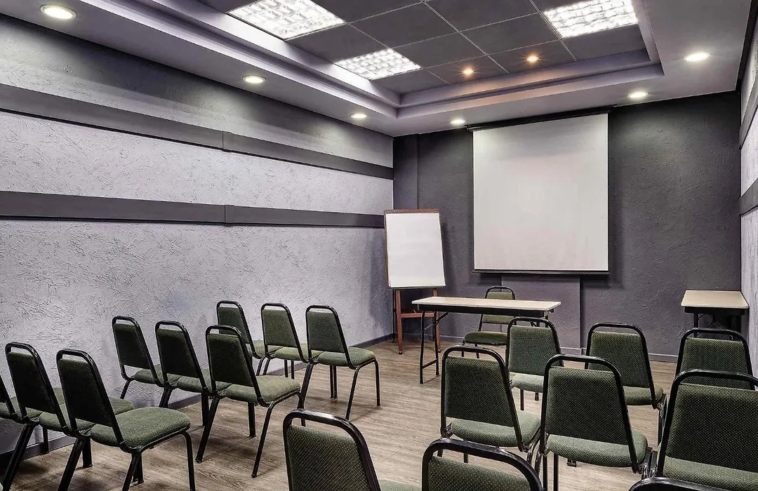 Ibis Taubate-1