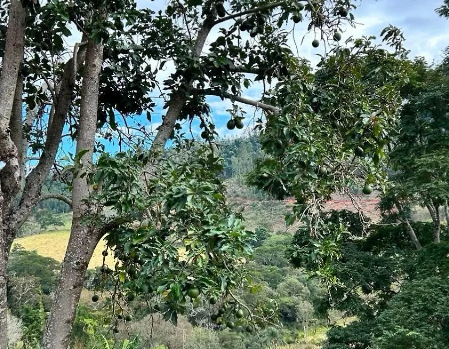 Villa Garibaldi-1