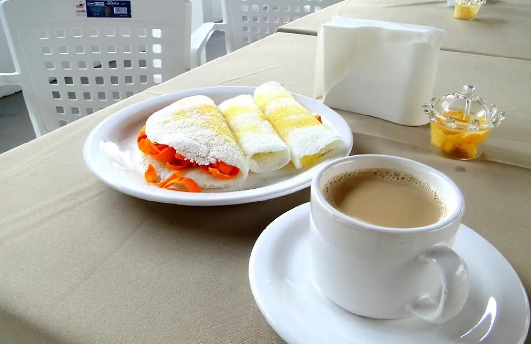 Hotel Icamiabas-1