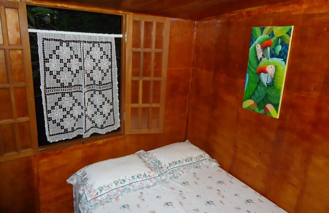 Casa na Árvore-1