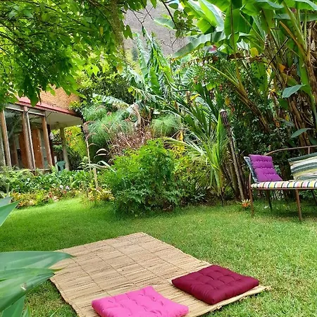 Casa De Vidro-2
