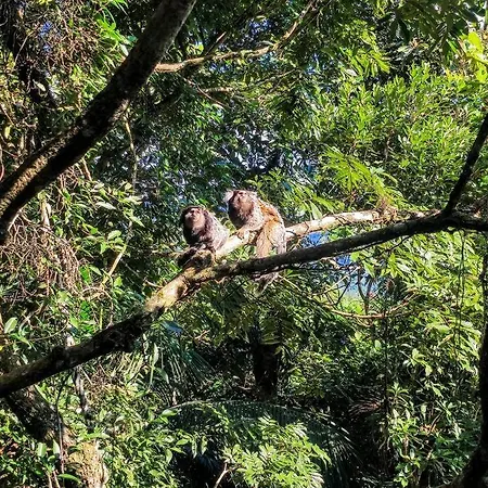 Recanto Nas Arvores-2