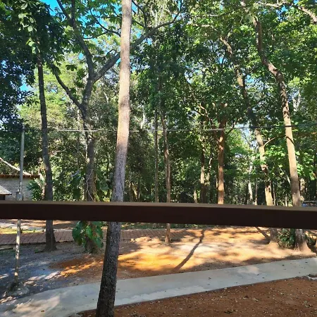 Bosque São Francisco-2