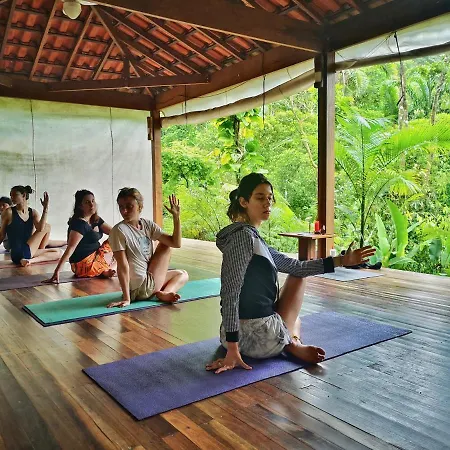 Trindade Sea And Forest Yoga Hostel-2