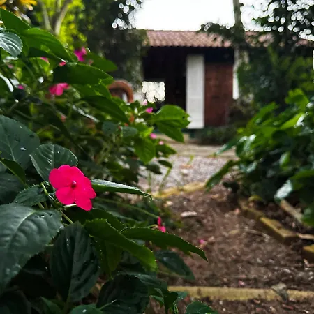 JoãoeMaria da Ilha-2