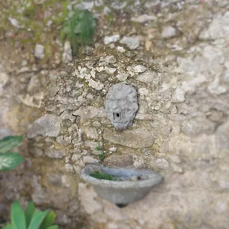 Casa Da XV - Iguape, S.P-2