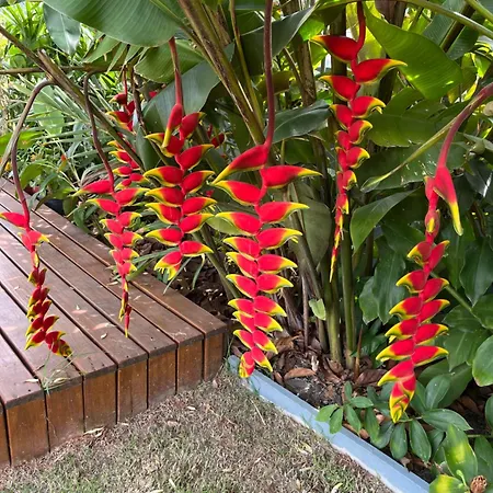 Bella Pousada-2