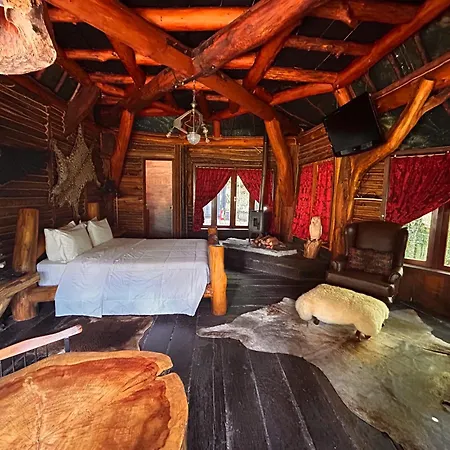 Art Lodge-2
