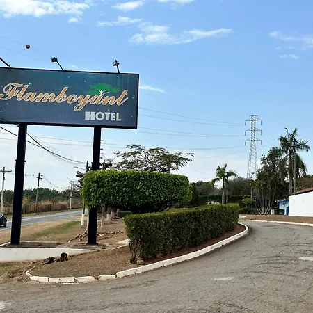Flamboyant Hotel (Adults Only)-3