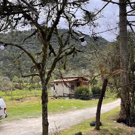 Cabanas Quatro Irmãos - Nó de Pinho-3