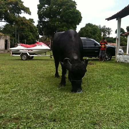Pousada Marajoara- Hotel Fazenda-Turismo De Aventura-3