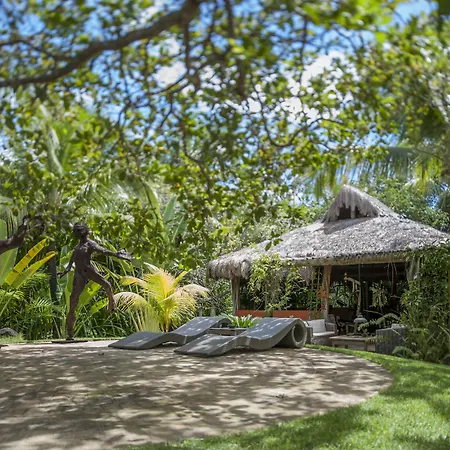Toca Da Coruja - Eco Luxury Retreat-3