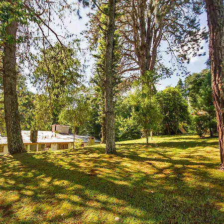 Villa Vintage Campos - Piscina e opções de suites com hidromassagem-2