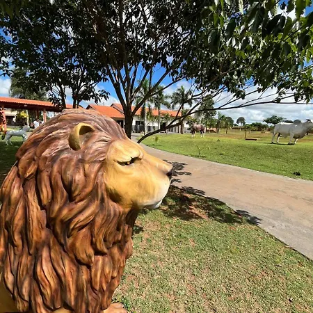 Hotel Fazenda Flamarion-2