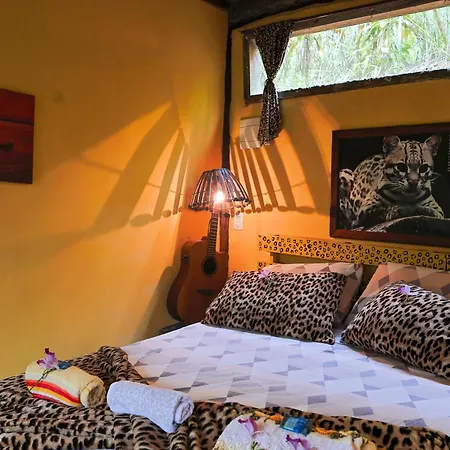 Eco Hostel Organic Life-2