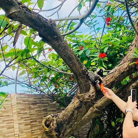 Pousada Bossa Nova-2