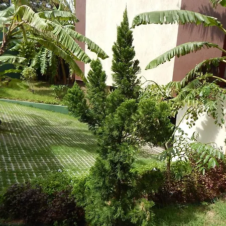 Matisse Comfort Suites (Adults Only)-3