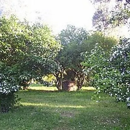 Pousada Chácara das Roseiras-3