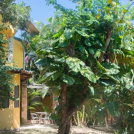Htl Telhado Verde-2