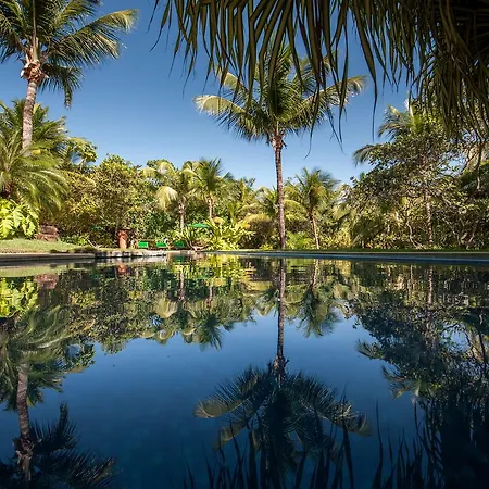 Toca Da Coruja - Eco Luxury Retreat-2