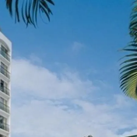 Palmleaf Grand Premium-3