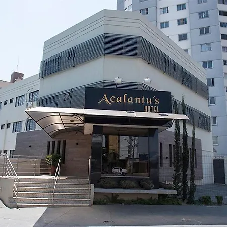 Acalantus Hotel-3