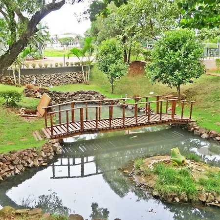 Stella Solaris Cataratas-2