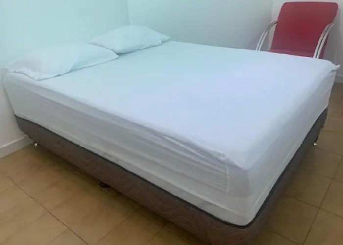 Água Viva