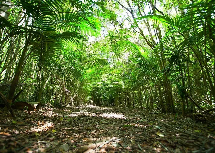 A Pousada Oikos Criciuma , Brasil