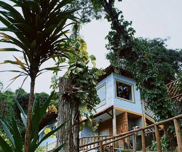 Sensorial Macacos