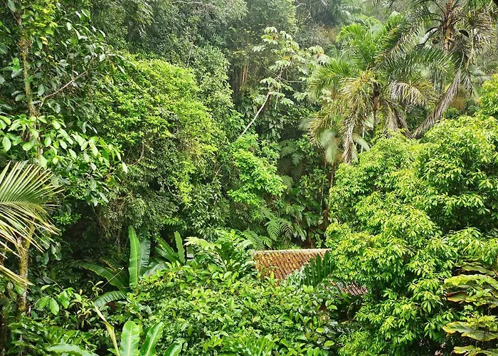 Trindade Sea And Forest Yoga