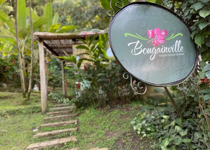Bougainville Toque Toque Grande