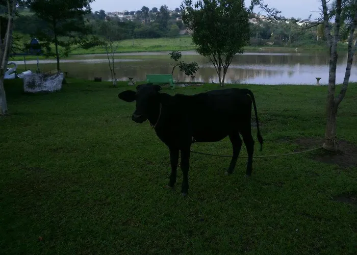 Fazenda Tio Nicola