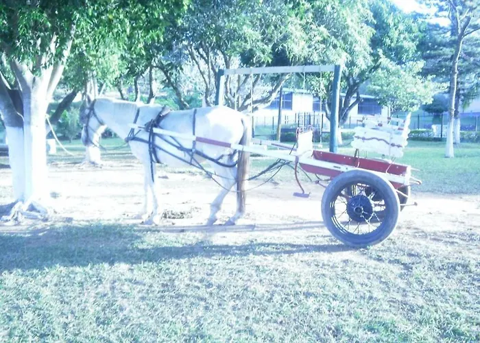 Fazenda Tio Nicola