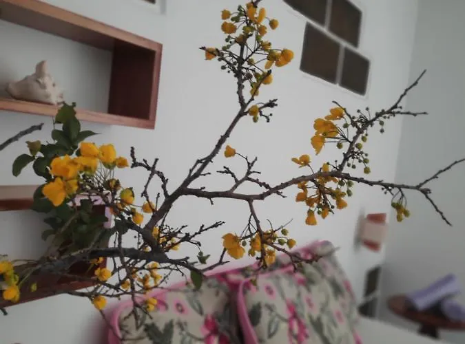 Anacardium Hotel Canoa Quebrada, Brasil