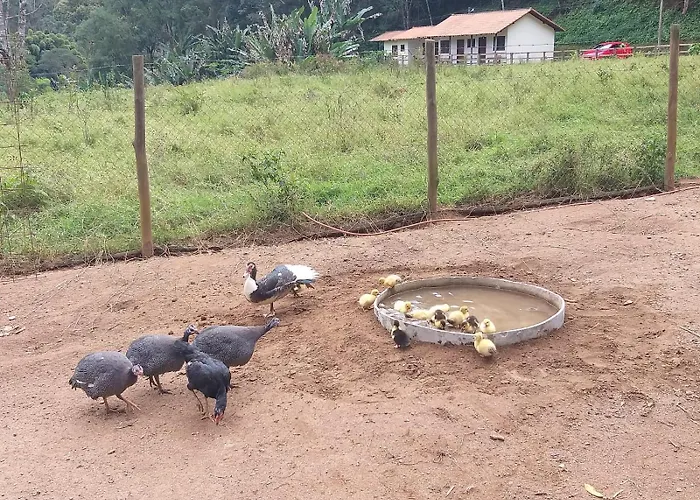 Fazenda Piloes Vila Petrópolis, Brasil